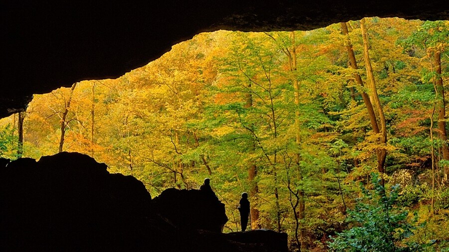 Buffalo National River
