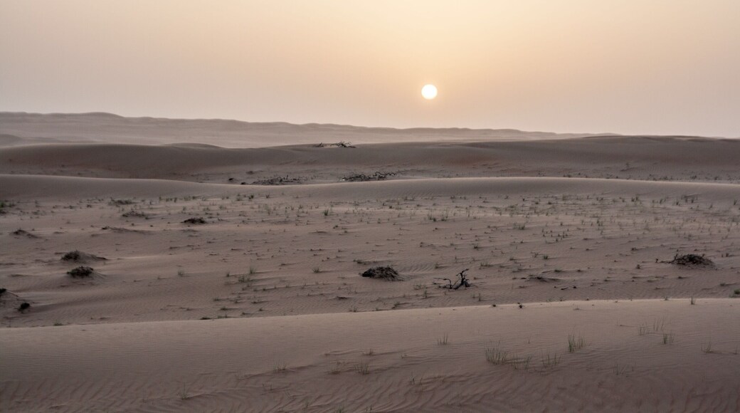 Itâs #FarawayFriday, and this is about as far from anything as Iâve ever been - watching the #sunset from the top of a sand dune near 1000 Nights Camp in Sharqiya Sands, #Oman đŽđČ
#LifeAtExpedia