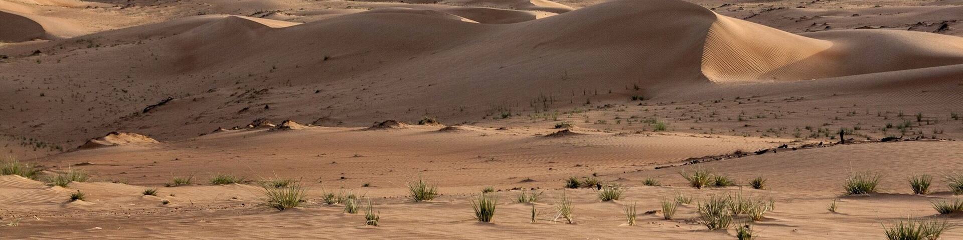 Sunset in the sand dunes near 1000 Nights Camp in Sharqiya Sands, #Oman 🇴🇲
#LifeAtExpedia