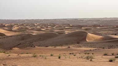Sunset in the sand dunes near 1000 Nights Camp in Sharqiya Sands, #Oman 🇴🇲
#LifeAtExpedia