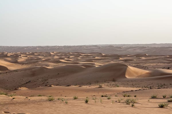 Sunset in the sand dunes near 1000 Nights Camp in Sharqiya Sands, #Oman đŽđČ
#LifeAtExpedia