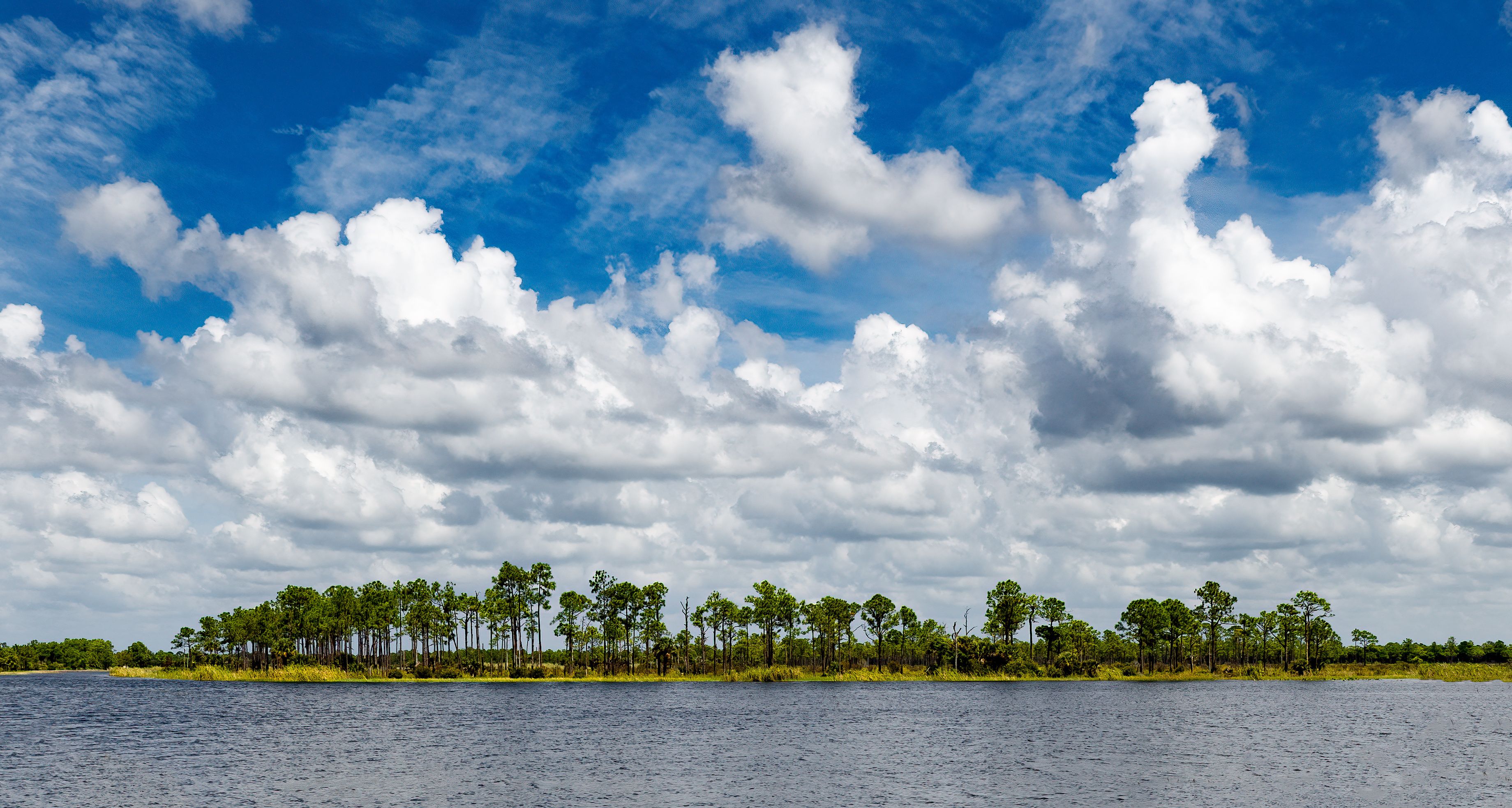 Fred C. Babcock-Cecil M. Webb Wildlife Management Area