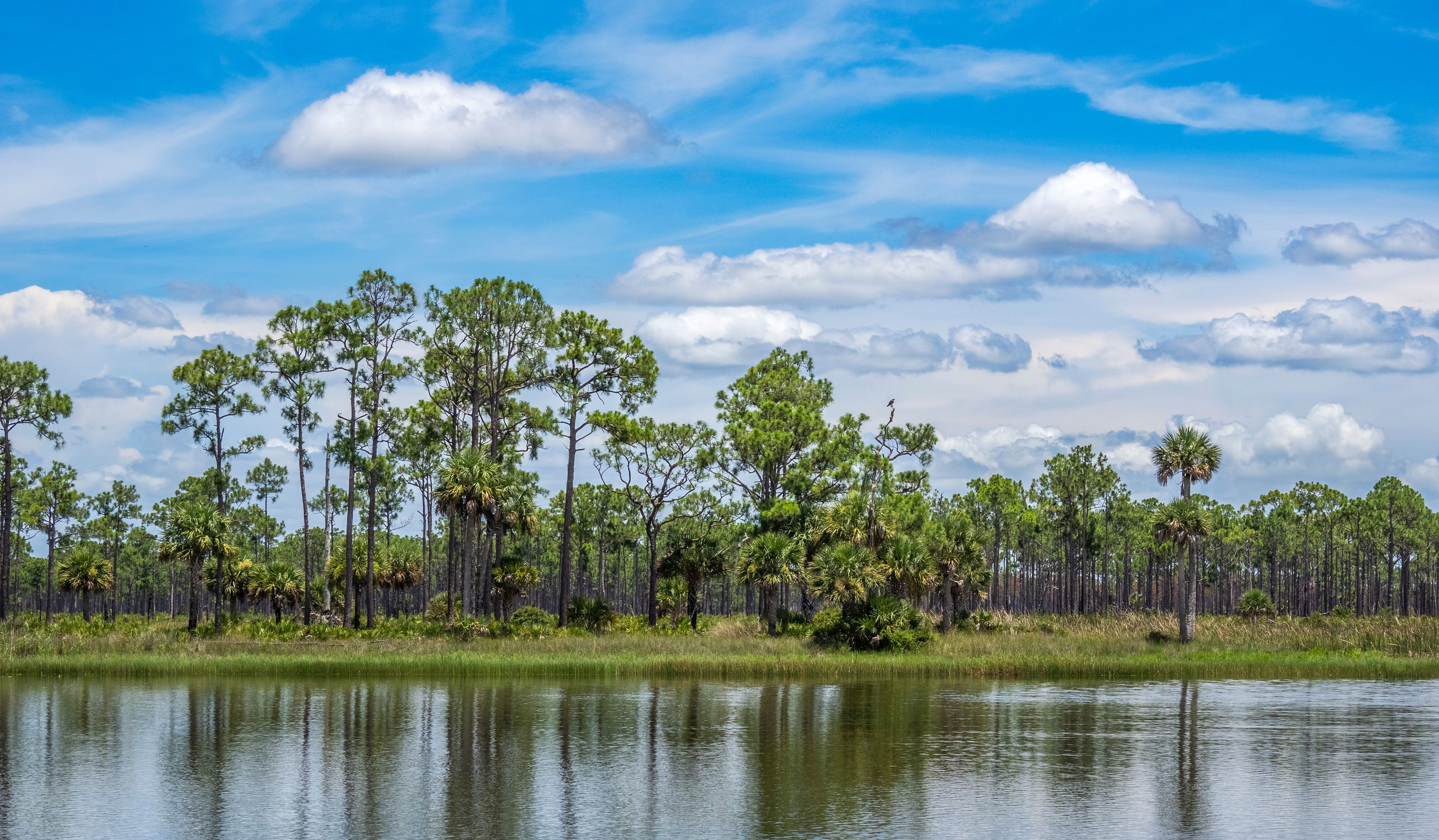 Fred C. Babcock-Cecil M. Webb Wildlife Management Area