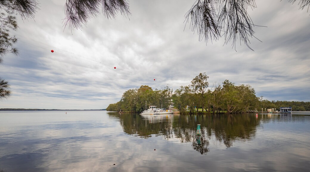 The Bombah Point Ferry carrying a vehicle across water