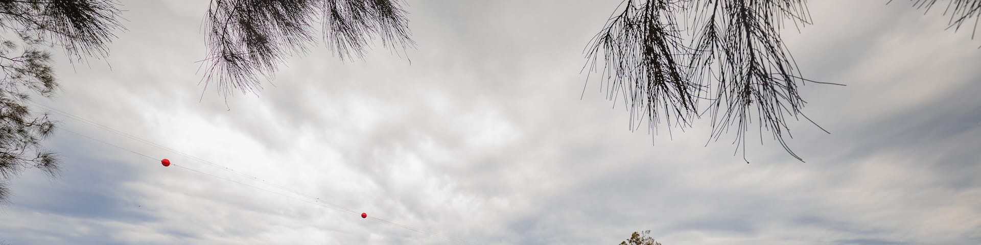 The Bombah Point Ferry carrying a vehicle across water