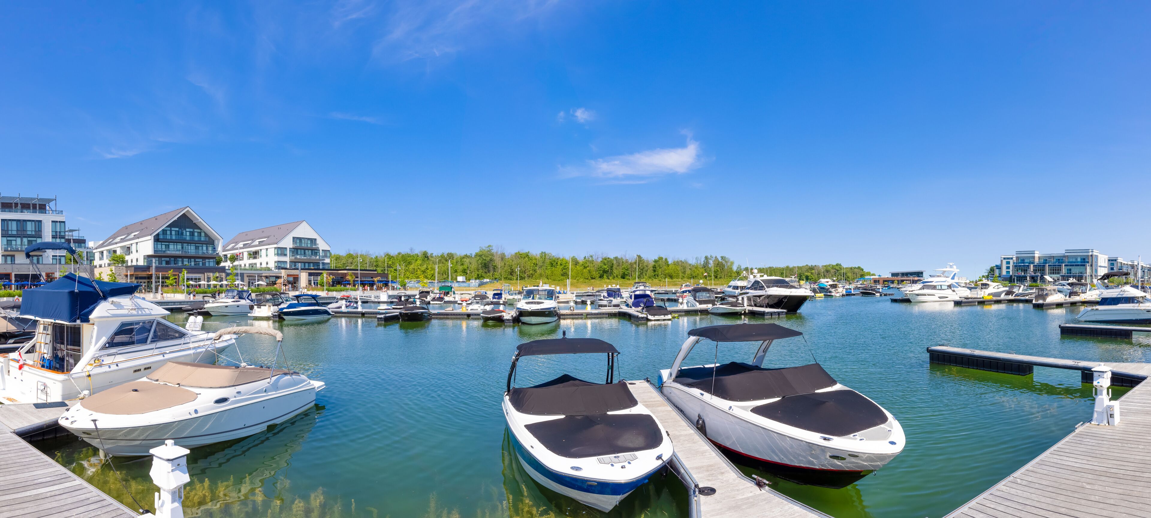 A marina with multiple boats docked, a clear blue sky, and buildings in the background.