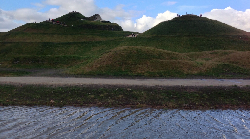 The face, right breast and right arm of the Northumberlandia land form sculpture