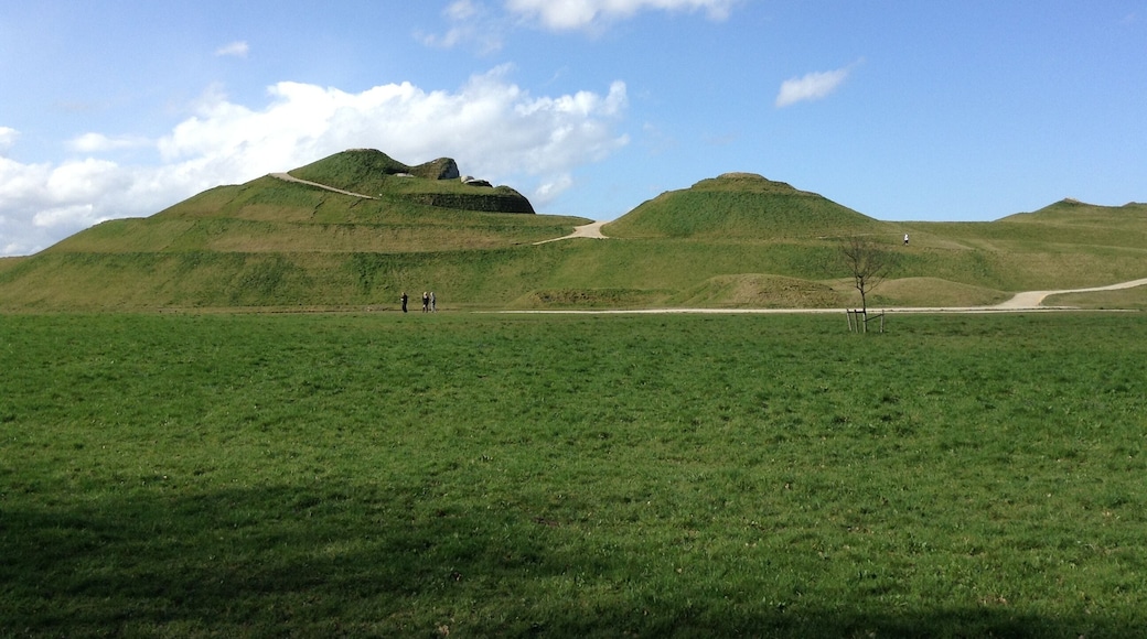 Northumberlandia