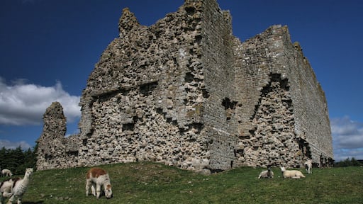 Bewcastle, near to Bewcastle, Cumbria, Great Britain. The castle at Bewcastle.