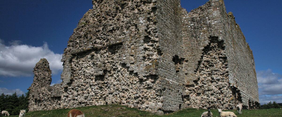 A large, ancient stone structure with multiple towers and a grassy foreground with grazing sheep.