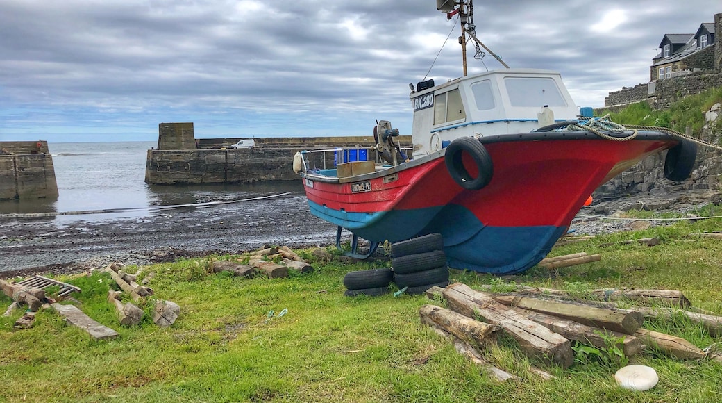 A very small fishing village on the Northumberland coast and the starting point for many people to walk to Dunstanburgh Castle,
The village surrounds the small harbour where they are known for their kippers
