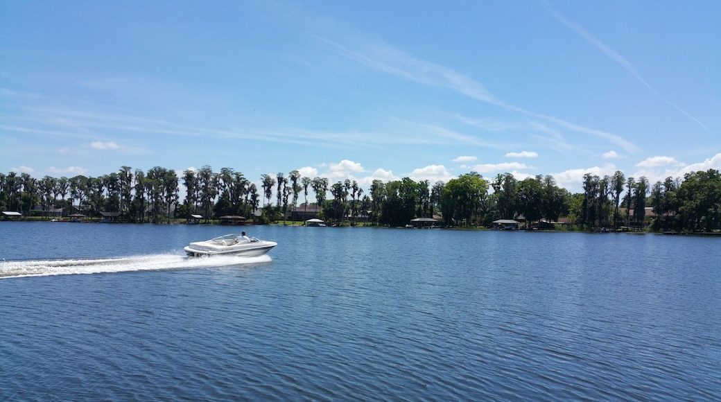 Beautiful lake in a residential area #wanderlust #Florida