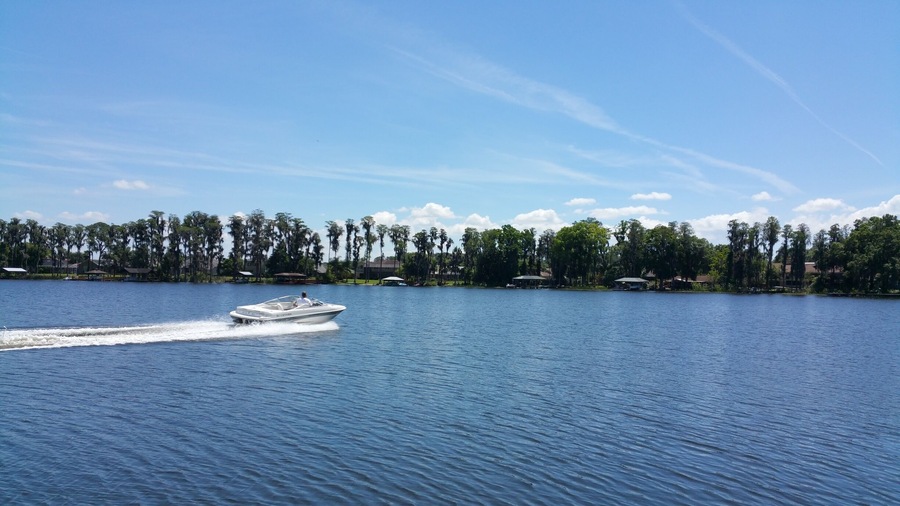 Beautiful lake in a residential area #wanderlust #Florida