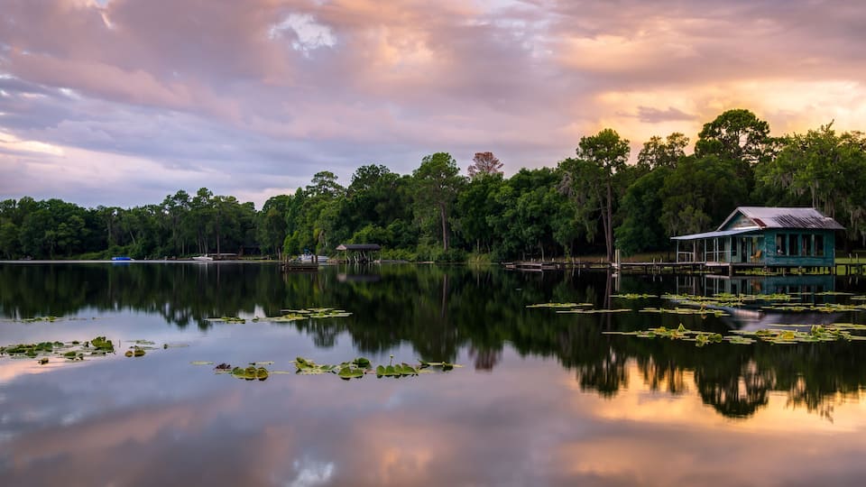 A calm lake with lily pads, a small house on stilts, and dense trees in the background.