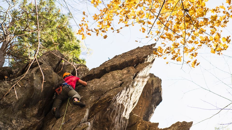 A person climbing a rocky cliff with autumn leaves in the foreground.