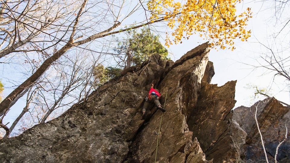 A person rock climbing a steep, rocky cliff with autumn leaves visible in the background.