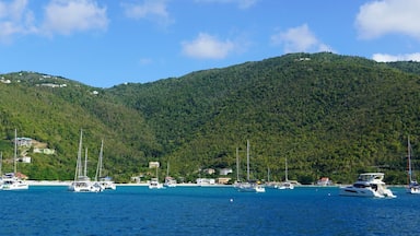 Cane Garden Bay, Tortola British Virgin Islands