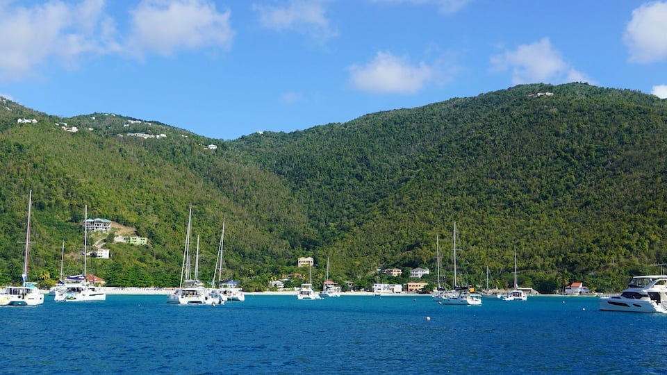 A coastal area with numerous sailboats docked along the shore, surrounded by lush green hills and a clear blue sky.