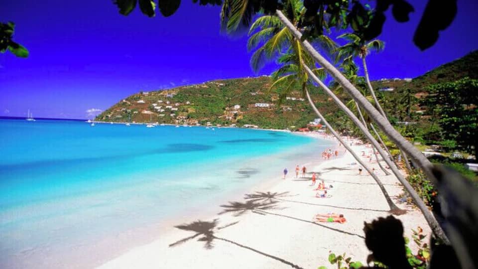 A beach with clear turquoise water, white sand, and palm trees.