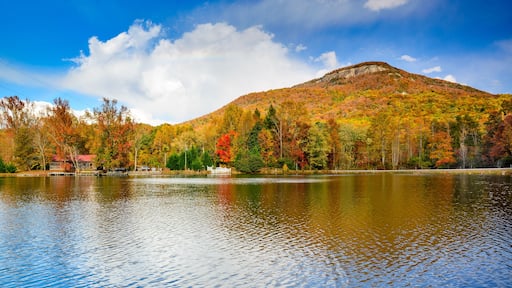 Yonah Mountain in the Chattahoochee-Oconee National Forest of North Georgia, USA., Shutterstock ID 467992190, purchase_order: SP-1269 HA 2018 Batch 1, Order: , client: , other: