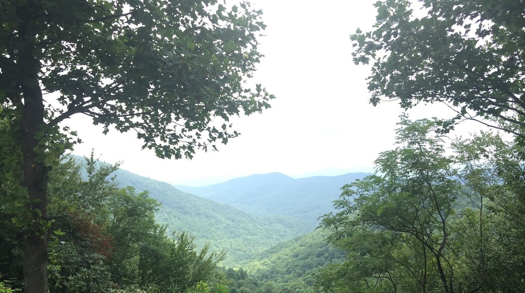 Driving through a scenic highway in Georgia on Chattahoochee National Forest area.