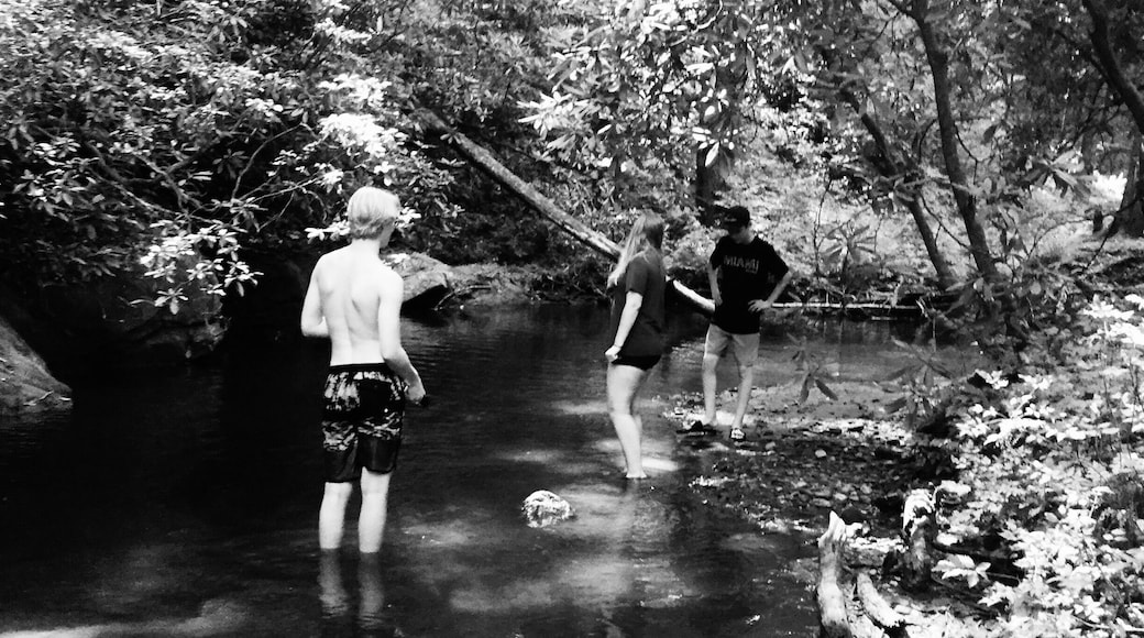 Exploring & having summer fun. No matter how old they are, exploring is in their blood.... summer 2019 #Adventure