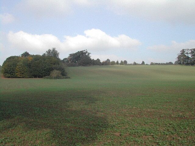 Winter crop. the fields of Topley Farm, near Gringley on the Hill