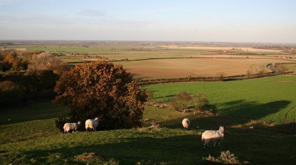 View from Beacon Hill View north in the Trent Valley from Beacon Hill