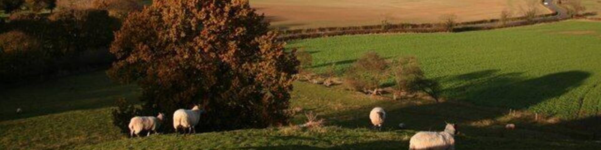 View from Beacon Hill View north in the Trent Valley from Beacon Hill