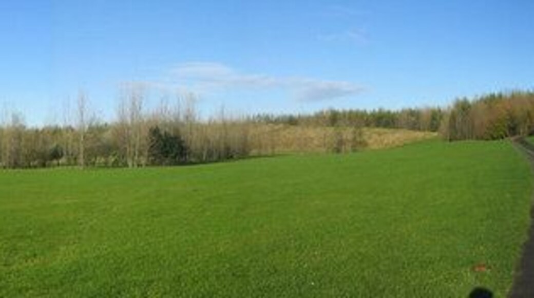Parkland and nature reserve near Monkton Village In the 1960/70s this area was known as "The Slaggy". Slag had been dumped here from the iron works and demolished buildings. There was a "crusher" that pulverised rocks and stone and was used as hard core. Now it's a very pleasant parkland area and looks much better than the old "Slaggy"