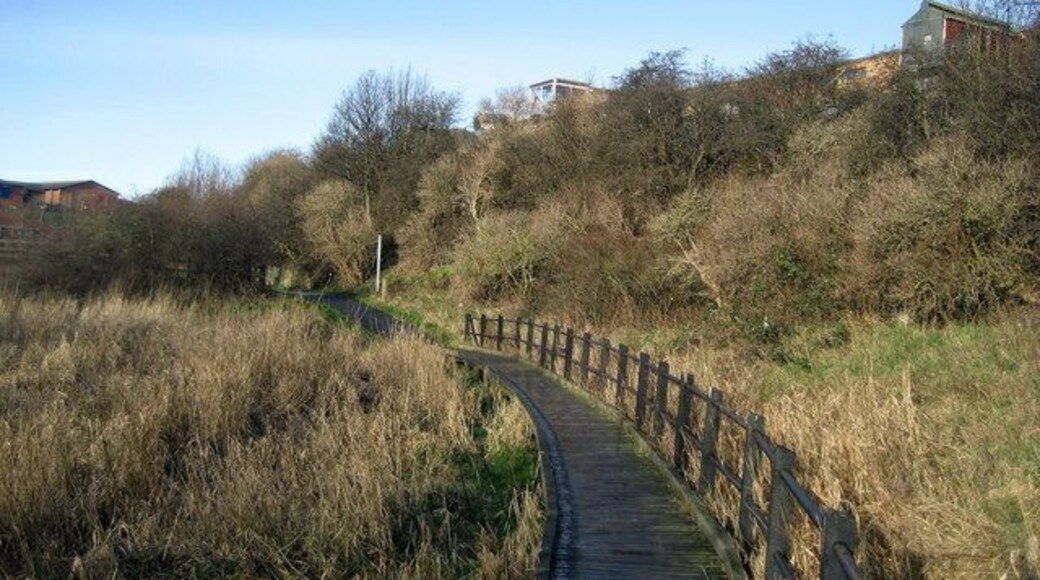 Causeway by the River Don A narrow corridor of nature in an urban landscape, although there is rubbish and detritus blocking some of this waterway. The map indicates a hospital above the bank on the right