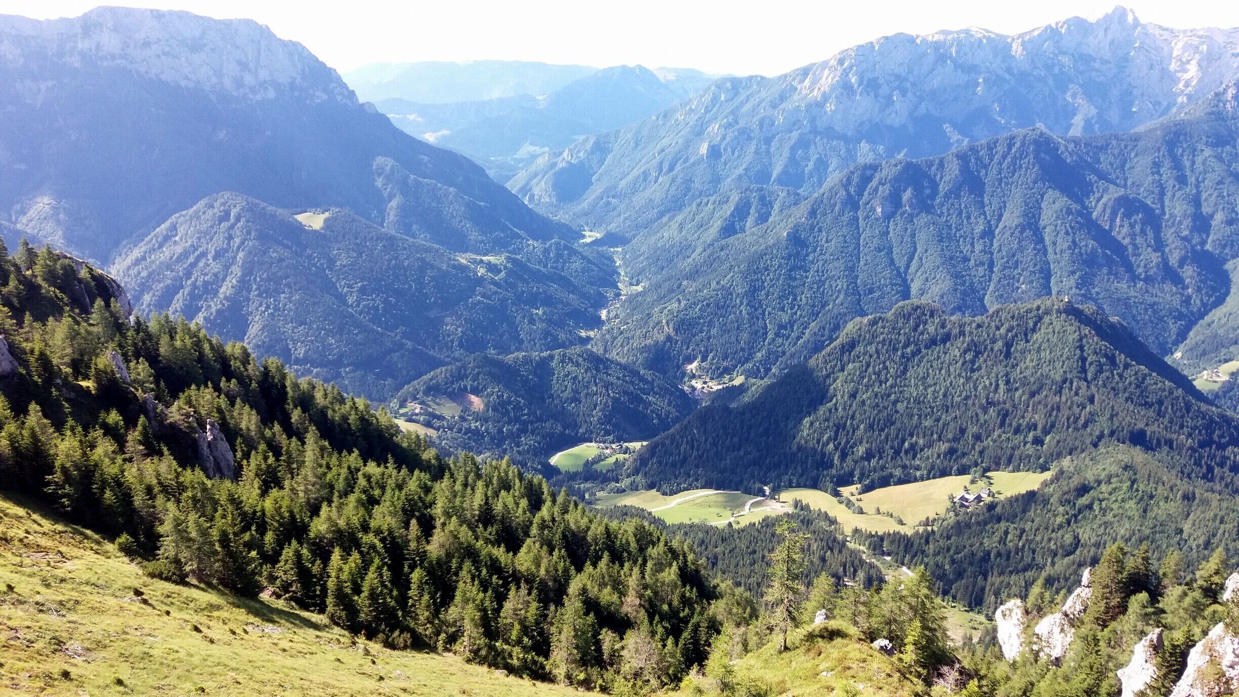 View to Upper Savinja valley from top of Olševa, Govca.