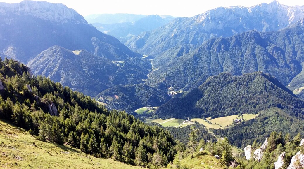 View to Upper Savinja valley from top of Olševa, Govca.