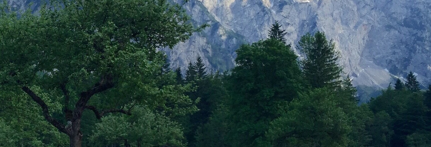In the heart of the Slovenian Alps. The kind of place I'd love to go back to and slow travel, spend my days cycling and hiking and looking for rare orchids and hearing stories of Tito's visit and well... just gazing dreamily at these mountains.
#slovenia #alps #europe #mountains