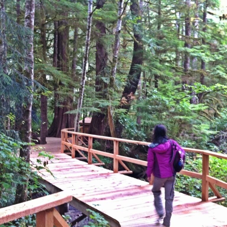 Magical super high end tented camp. Fishing, hiking, surfing, paintball, an Clydesdales.  Check it out