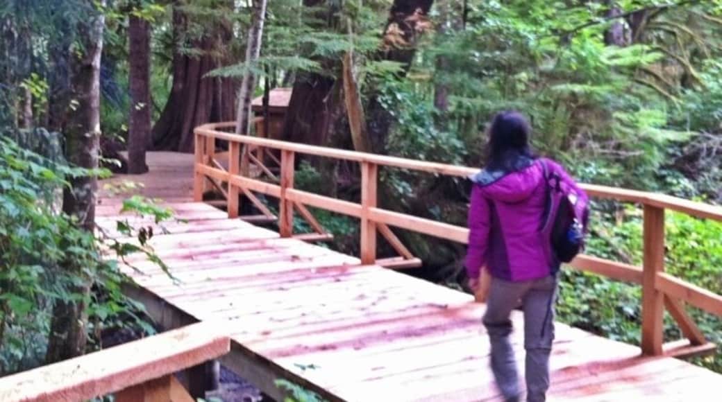 Magical super high end tented camp. Fishing, hiking, surfing, paintball, an Clydesdales. Check it out