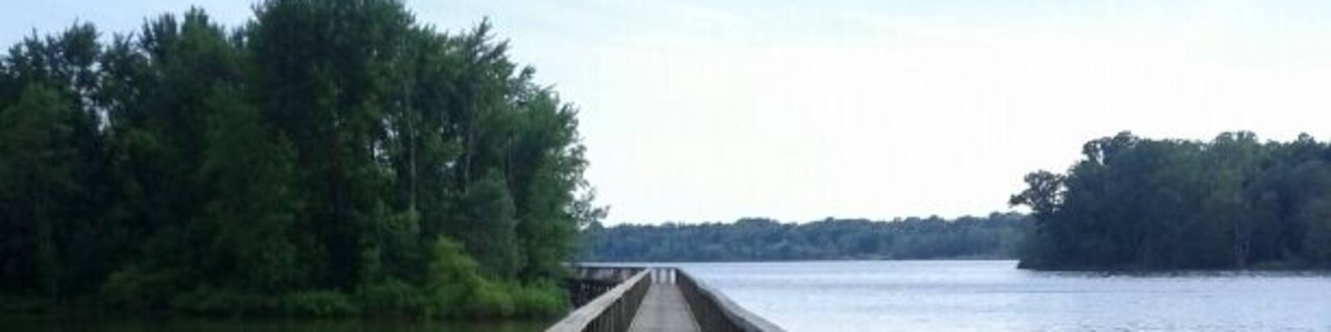 A wooden pier extending into a calm body of water, surrounded by dense greenery.