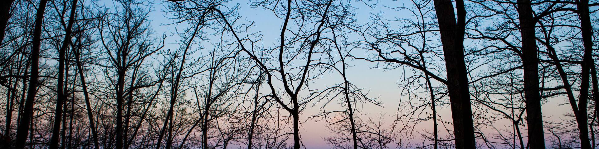 Hoover Reservoir Dam in Westerville Columbus Ohio at Dawn