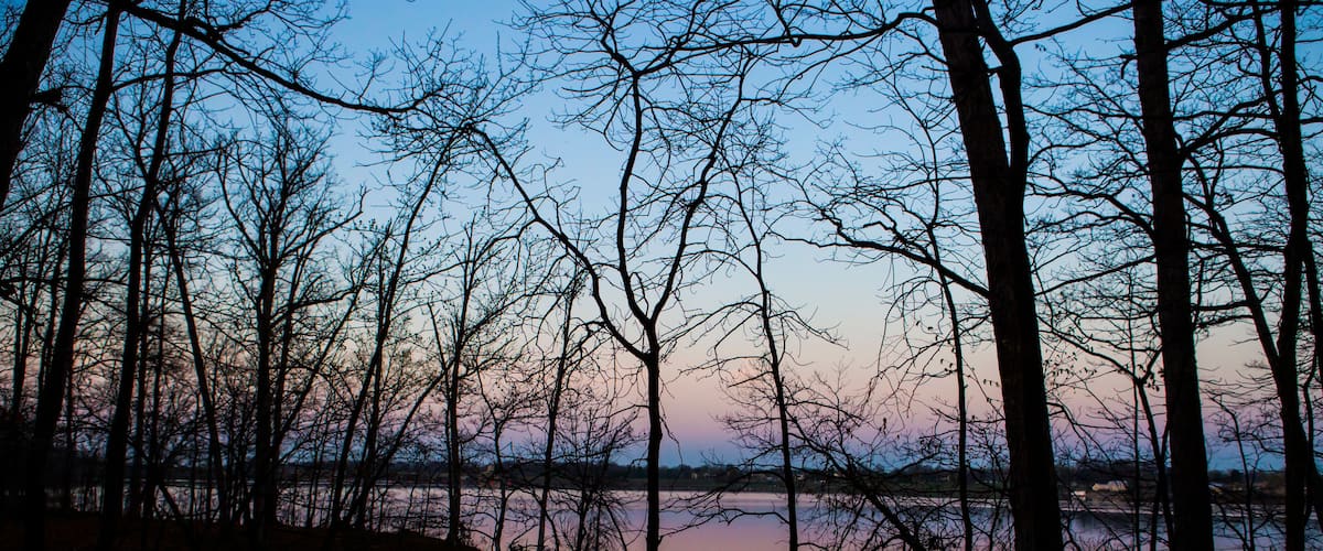 A forested area with a body of water reflecting the sky.