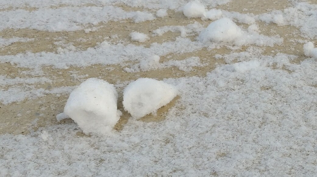 Mini snow rollers!
A weather phenomenon where light snow atop a slick substrate, such as ice, is blown by wind into cylindrical rolls. These guys are golf ball size, but a couple years ago, in this same location, there were ones bigger than watermelons.
#WinterWonders