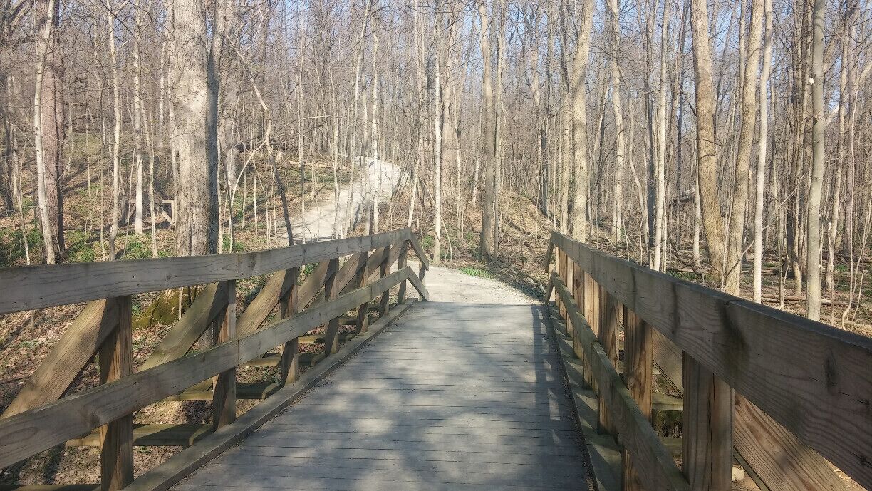 A view on the trail at Char Mar Ridge Preserve, one of the Preservation Parks of Delaware County. The 1 1/4 mile forested loop trail contains many spring wildflowers, glacial erratics and a wildlife viewing blind of the pond.
