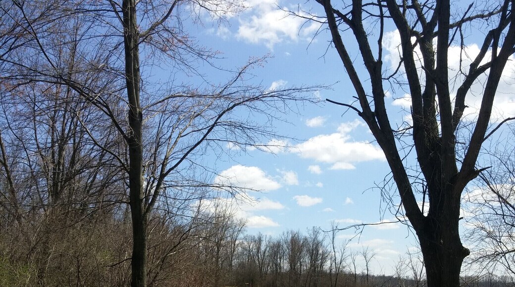 The disc golf course at Alum Creek State Park is fun and quite challenging. Even more challenging on this trip since heavy rains put parts of the course completely underwater...