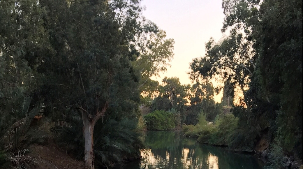 The beautiful Jordan River in Israel. #israel #river #Jordanriver
