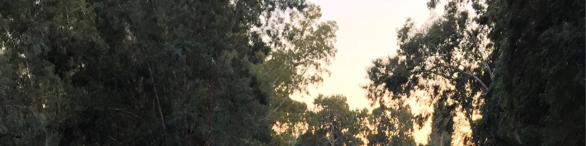 The beautiful Jordan River in Israel. #israel #river #Jordanriver