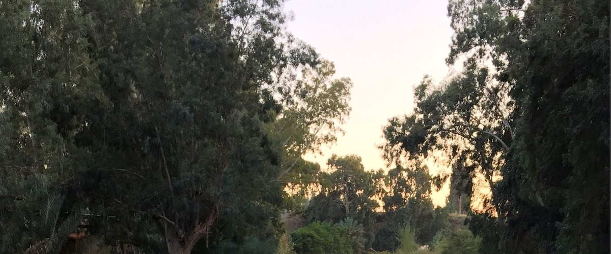 A calm river surrounded by dense trees and a stone wall with flowers in the foreground.
