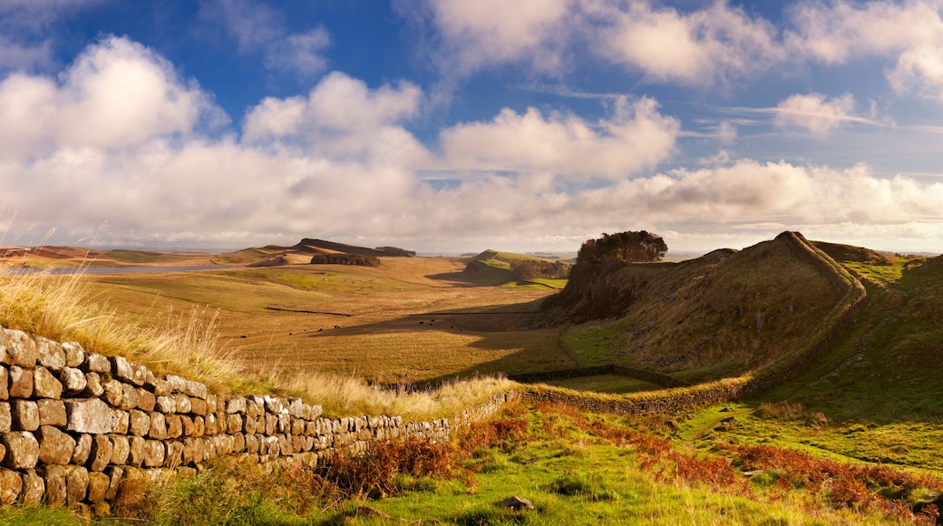 Hadrian's Wall, near Housesteads Fort in early morning light