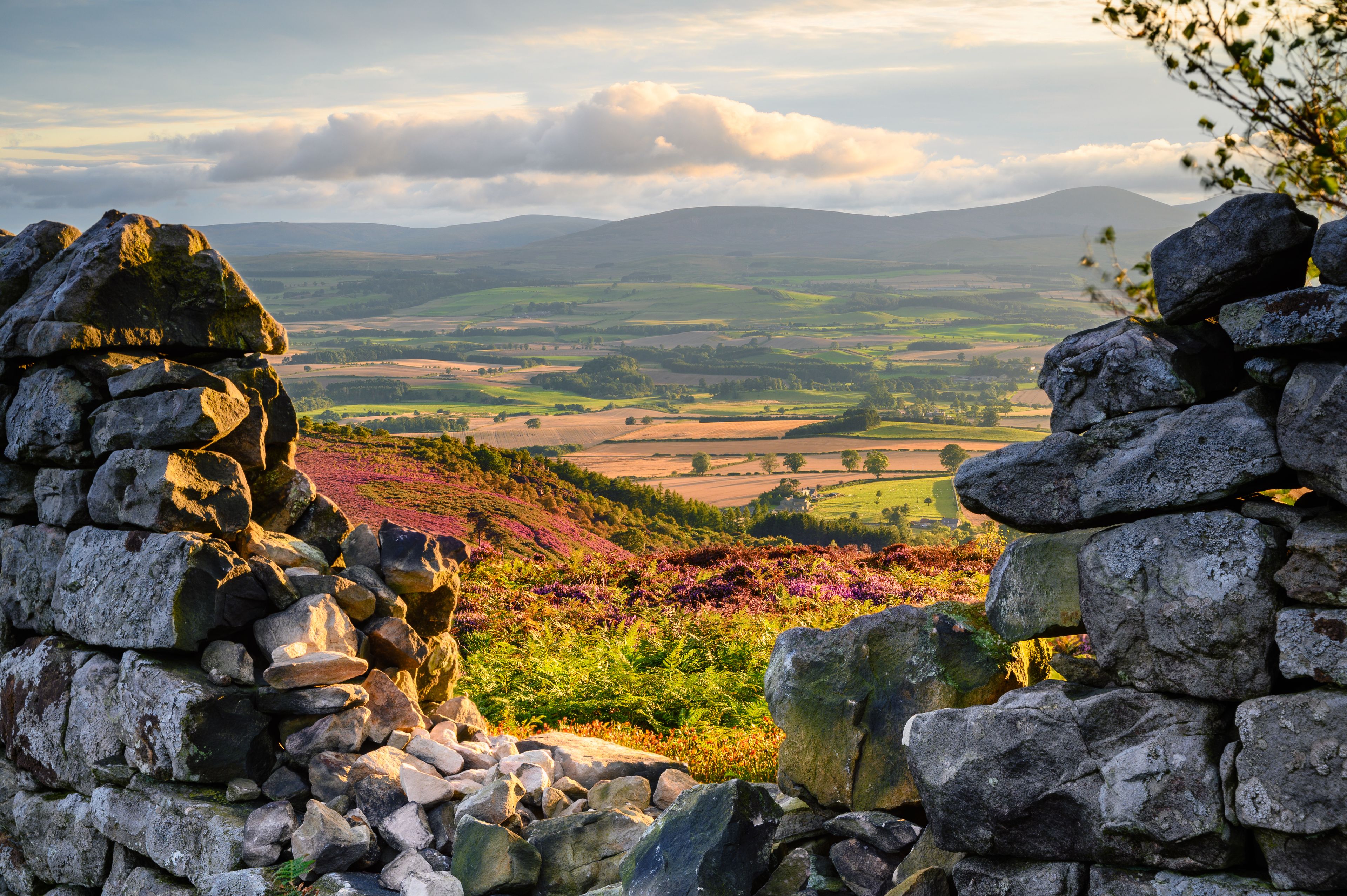 Ros Castle view looking west through Dry Stone Wall, also known as Ros Hill, due to an ancient prehistoric Hillfort on its summit, located near Chillingham in Northumberland and has great views