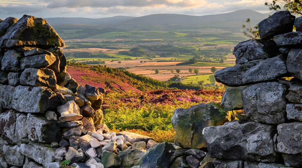 Ros Castle view looking west through Dry Stone Wall, also known as Ros Hill, due to an ancient prehistoric Hillfort on its summit, located near Chillingham in Northumberland and has great views