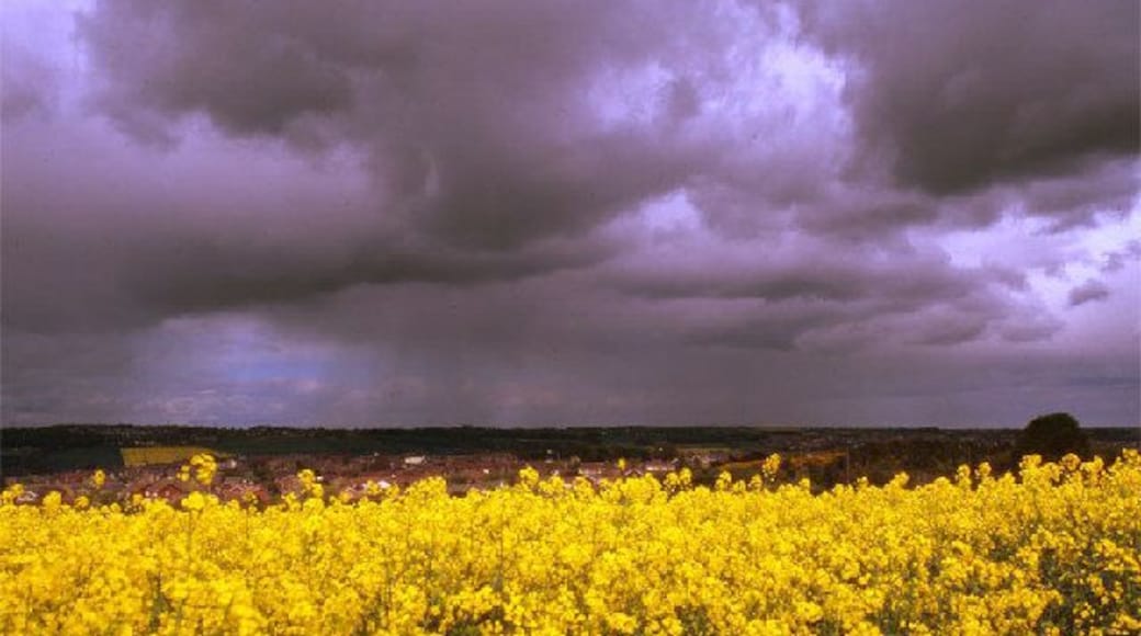 Big Sky Over Crawcrook. Rain over Heddon-on-the-WallNZ1366, CrawcrookNZ1463 in mid-foreground, too much rape in foreground.