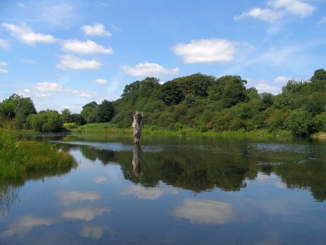 Sled lane pond. the fish pond at Sled Lane, behind the trees lies a large sand quarry.